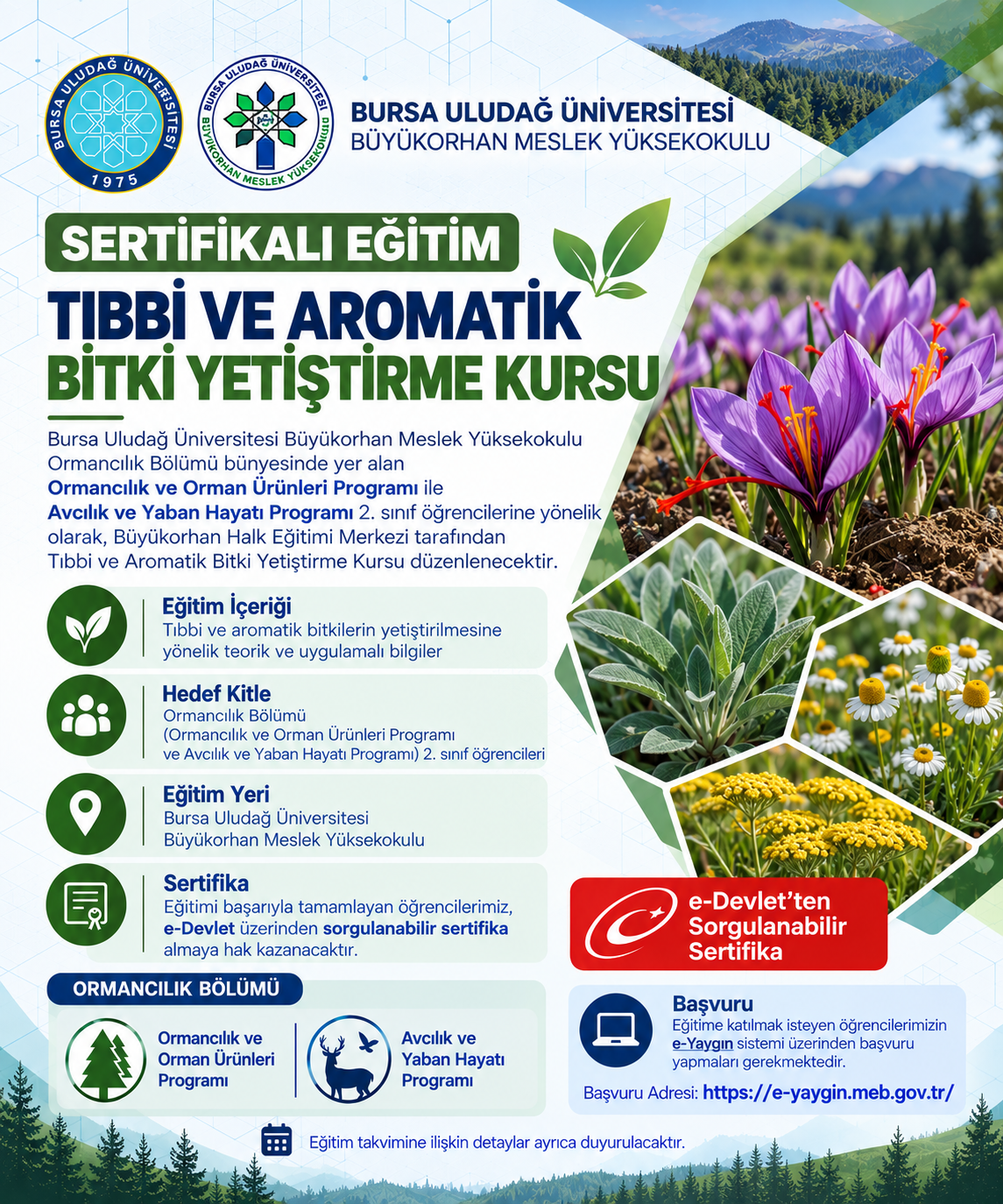 Tıbbi Ve Aromatik Bitki Yetiştirme Kursu